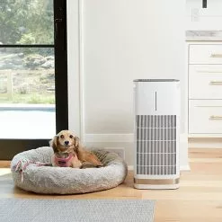 Cuisinart PuRXium Free Standing Air Purifier | Large Room -Frying, Grilling & Cooking Shop 71psvfctues. ac sl1500