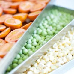 Harvest Right Medium Size Home Freeze Dryer | Stainless Steel -Frying, Grilling & Cooking Shop hrss2