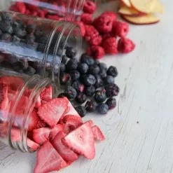 Harvest Right Small Size Home Freeze Dryer | Stainless Steel -Frying, Grilling & Cooking Shop hrss3 2