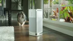 Cuisinart PuRXium Free Standing Air Purifier | Large Room -Frying, Grilling & Cooking Shop maxresdefault 48