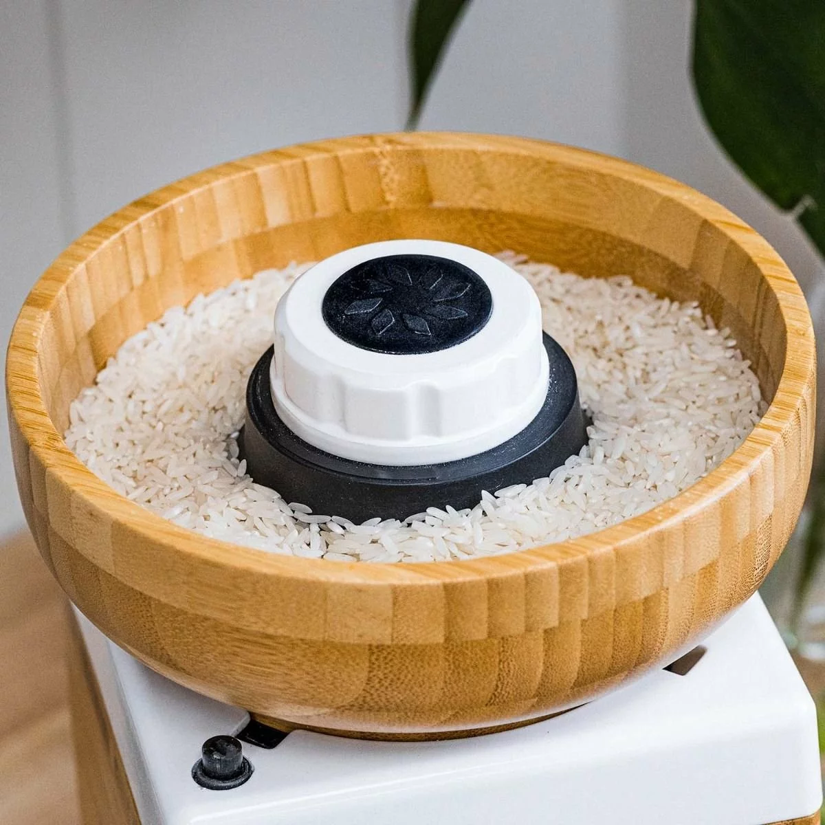 NutriMill Harvest Grain Mill | Powder Sugar White 5 NutriMill Harvest Grain Mill | Powder Sugar White - Image 3